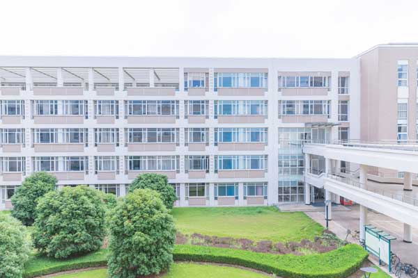 华北电力大学有专科吗