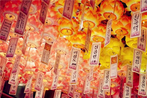 北京外国语大学韩国留学预科招生对象有哪些？