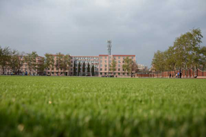 信阳职业技术学院哪个专业好