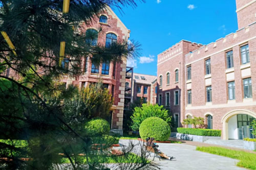 ΪʲôIBDP����Ϊ��У����ש����������ЩIB����ѧУ��