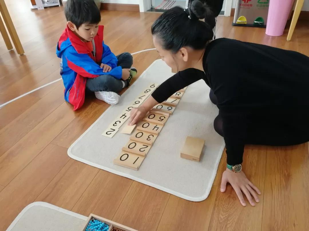 �йش������ѧУ