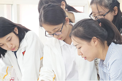 天津大学A-Level国际高中上哪些课程?