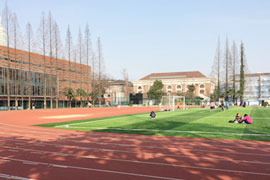 ʸ