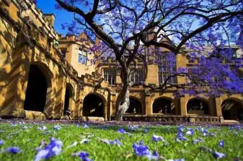 大连英领国际学校