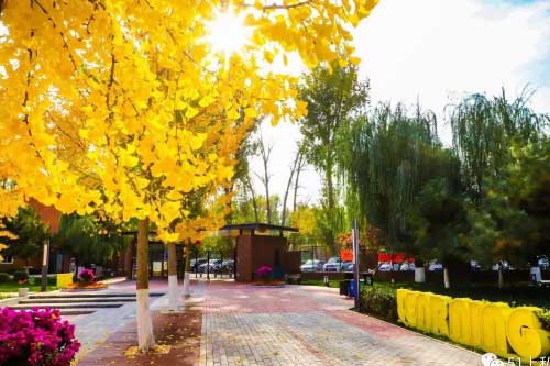 北京市新府学外国语学校