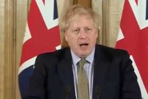 国际学校择校网