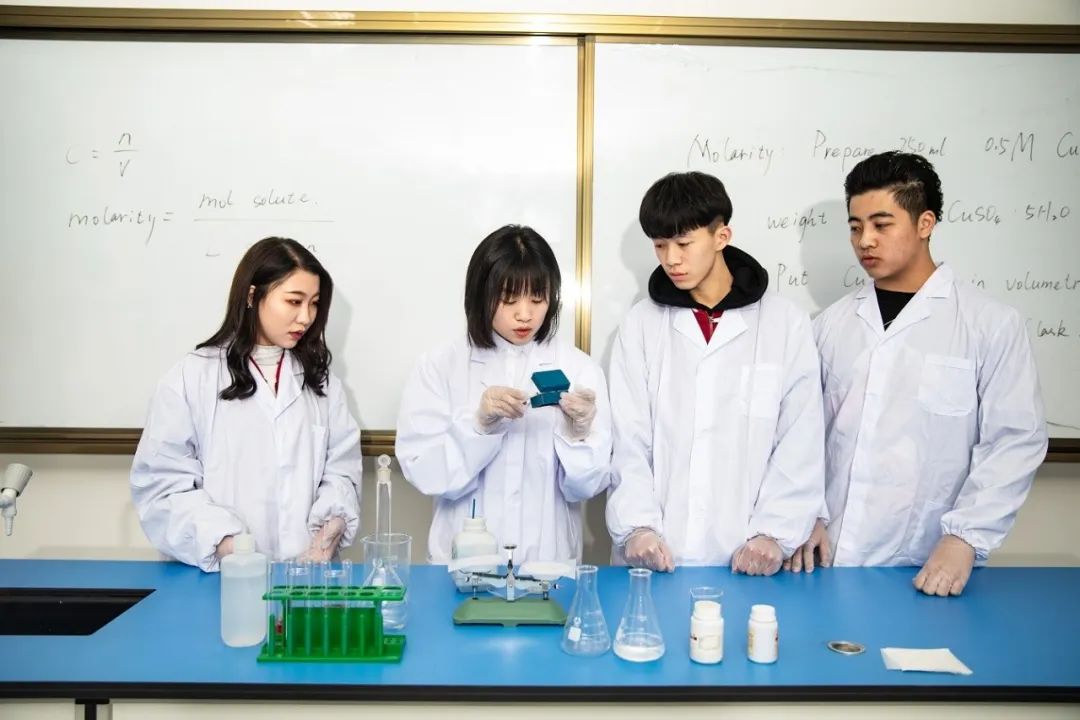 力迈中美国际学校