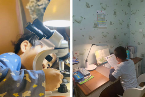 新府学外国语学校