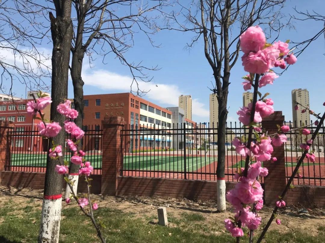 ʢ���̹�԰��Ӣ��ѧУ