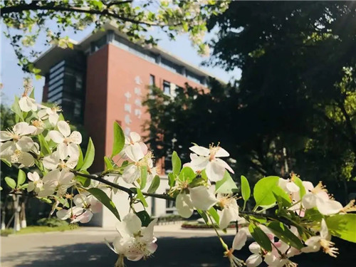 成都七中国际部