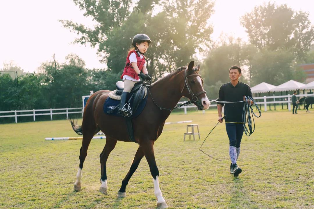 北京新府学外国语学校
