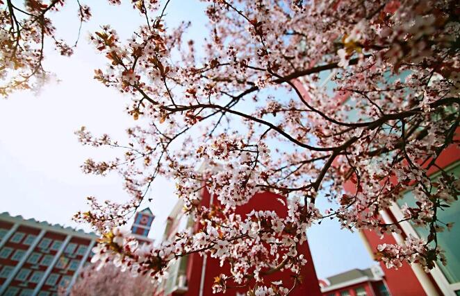 �������Ϲ���ѧУ