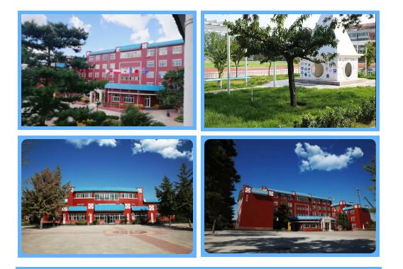 ������ʵ��ѧУ