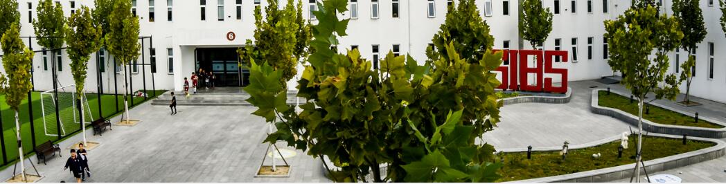 ���Ϲ���˫��ѧУ