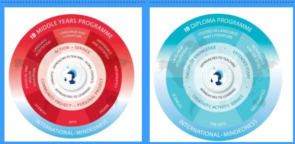 �¶�������˫��ѧУ