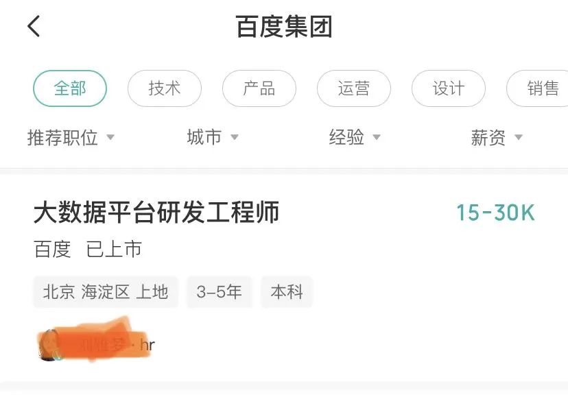 大数据专业公司