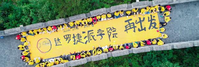 达罗捷派活动