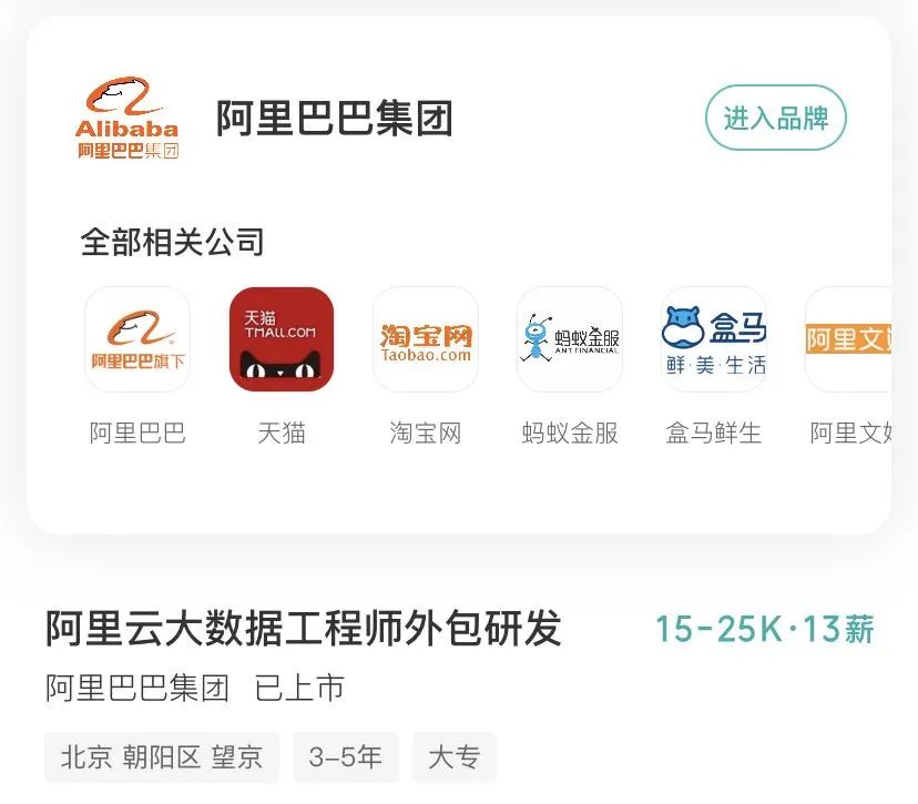 大数据专业公司