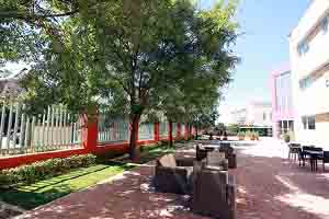 2021�������˫��ѧУ˳��У��ѧ���Ƕ��٣�