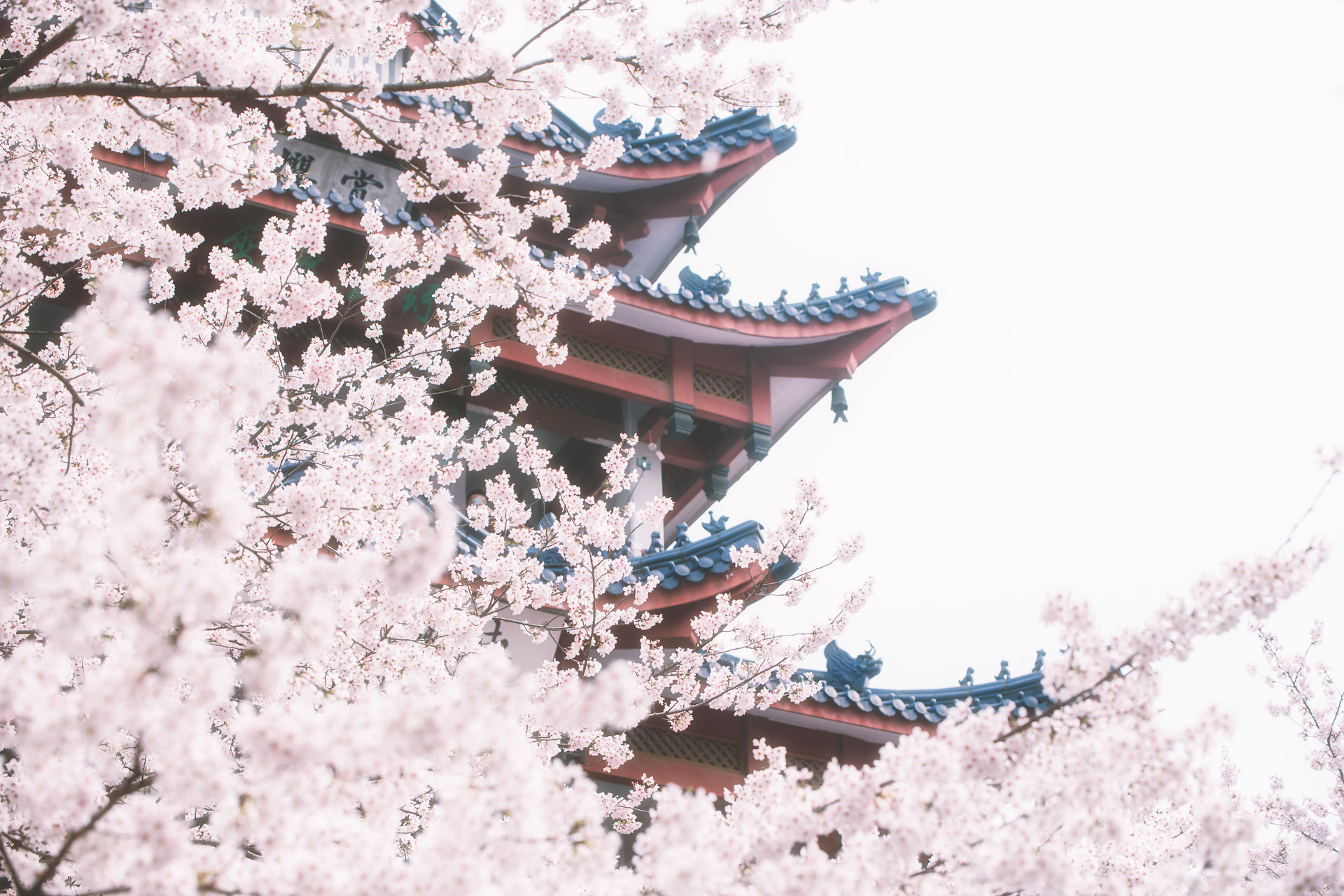 去日本留学通过北京语言大学日本留学预科需要花多少钱?