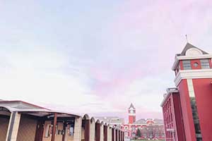 2021�������Ϲ���ѧУ��������ѧ���Ƕ��٣�