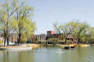 2022������������ѧУѧ�ѱ�׼�Ƕ��٣�