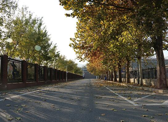 领科教育北京校区