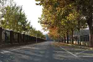 2021����ƽ�������У��ѧ�ѱ�׼