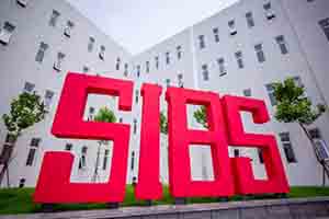 2021�������Ϲ���˫��ѧУСѧ��ѧ���Ƕ��٣�