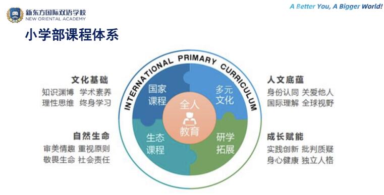 新东方国际双语学校小学课程.jpg