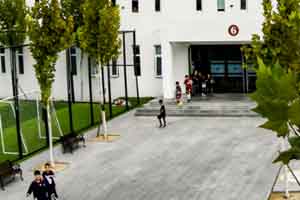 2022���Ϲ���˫��ѧУѧ�ѱ�׼