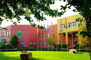 ������˽��������ѧУУ԰������ô����