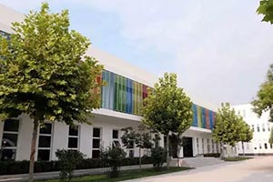 ���Ϲ���˫��ѧУ���в��γ�����Щ��