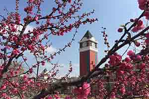 2021������������ʸ���ѧУ����Щ��