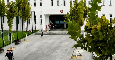 ���Ϲ���˫��ѧУ����ѧУ