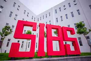 2021˳�������ʸ��������Լ�ѧ��һ����