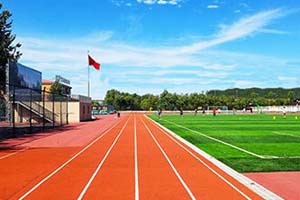 �������йش������ѧУ�γ���ϵ��