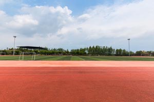 ����������ѧУ���ʳ��в���ѧ����