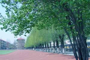 2022�����ٵ�Сѧѧ�ѱ�׼�Ƕ��٣�