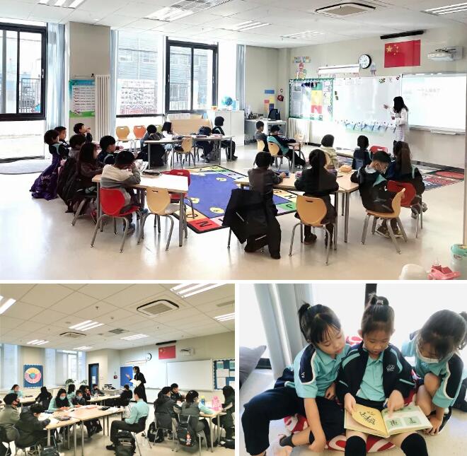 �����з�ɽ��ŵ�°���ѧУ����