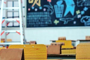 �������˫��ѧУСѧ����ѧ����