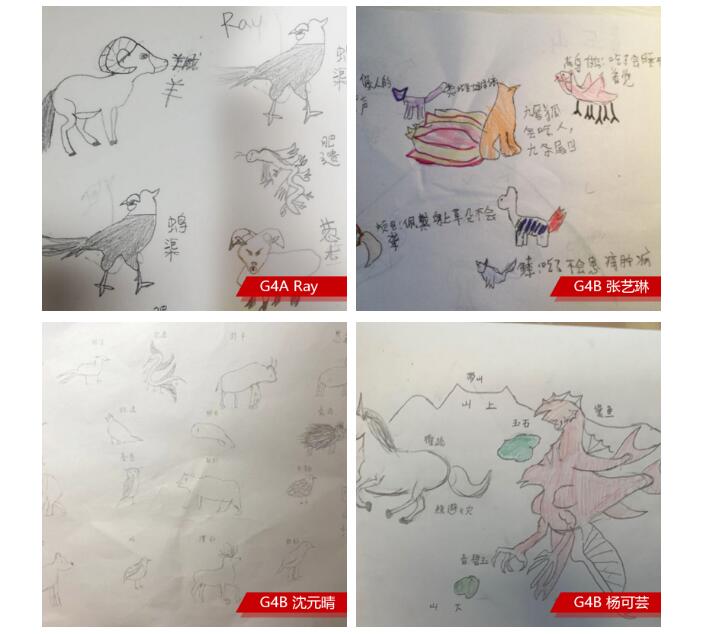 ���Ϲ���˫��ѧУ