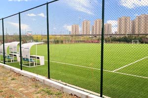 ����Ӣ�����ѧУ�γ���ϵ