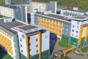 2021���ι���˫��ѧУ���У��ѧ�ѱ�׼��ʲô