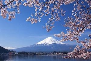 对外经贸大学韩国留学预科报考条件