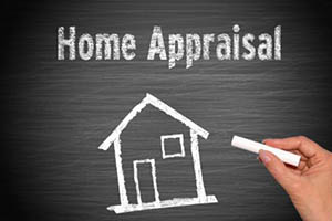 ������ѧ���ʲ�������