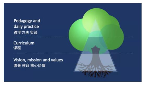 ���Ϲ���˫��ѧУ�γ�