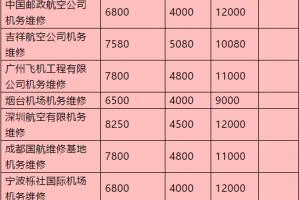 �ɻ�ά��רҵ��������