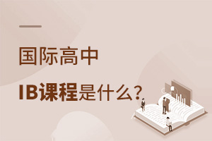 ���ʸ���IB�γ���ʲô��