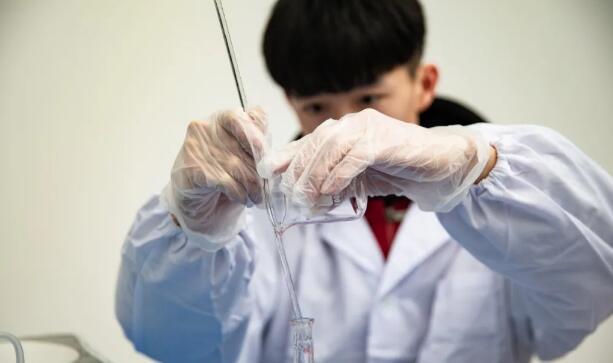 力迈中美国际学校高中课程